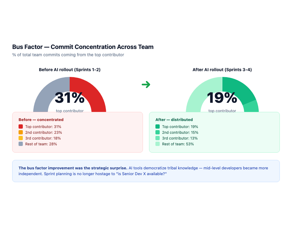 Bus factor visualization — commit concentration dropped from 31% to 19%